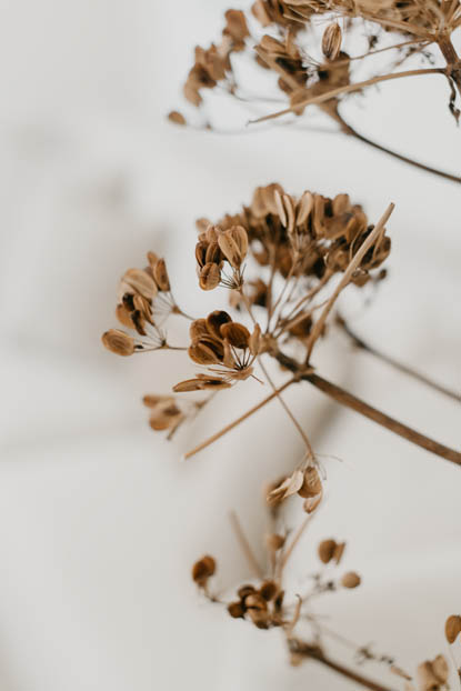 ZILT mood: Sand & Salt